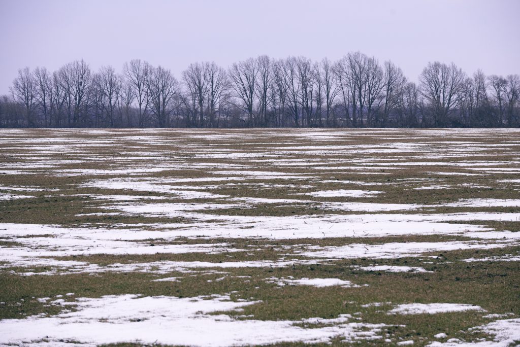 late winter landscape in Ukraine with some snow patches spread