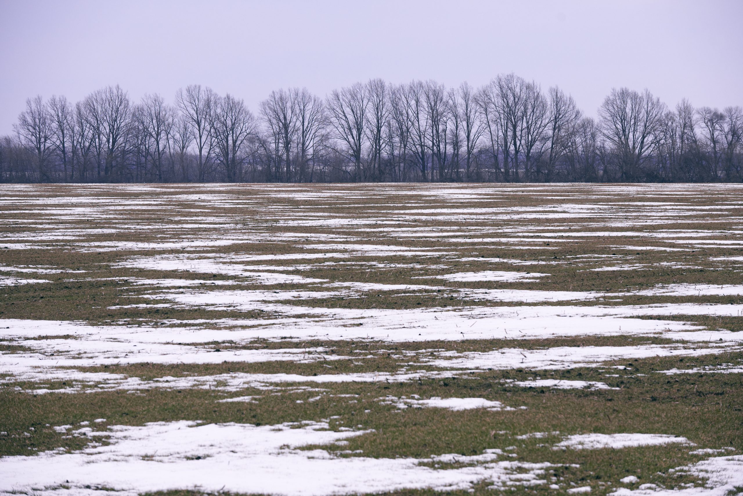 late winter landscape in Ukraine with some snow patches spread late winter landscape in Ukraine with some snow patches spread