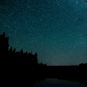 Starry Night Sky Over Forest Lake