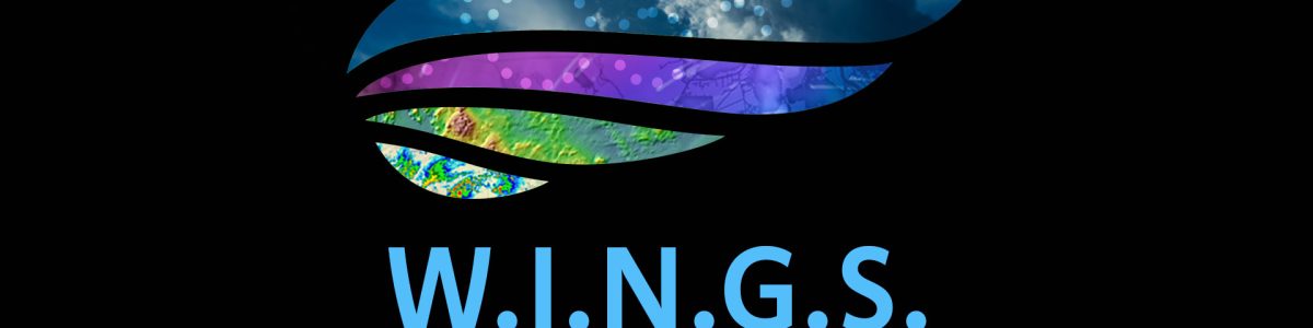 WINGS Ph.D Dissertation Fellowship, web poster