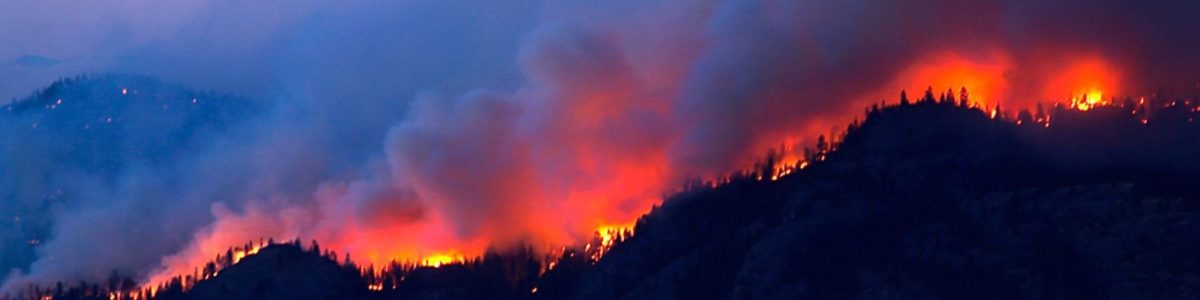 Wildfire